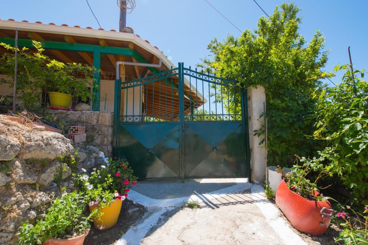 Basil & Guest House Lazaráta Екстериор снимка